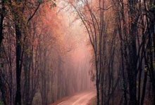 开云体育登录-铁血对攻120分钟！德国荷兰教科书式平局背后的角力美学