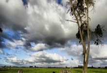 开云体育登录-暗夜磨刃！东莞天狮激战非洲劲旅，欧陆烽火前夜的淬炼与野望