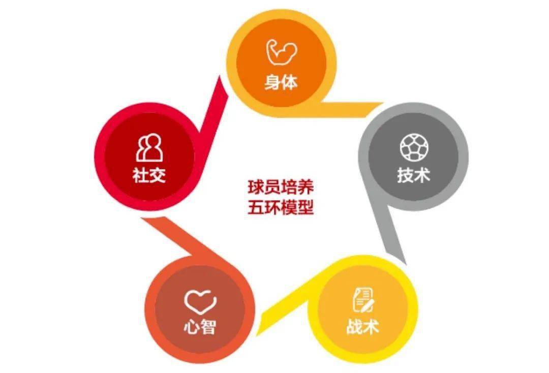 开云平台-包含着眼未来发展，球队加强青训基础的词条