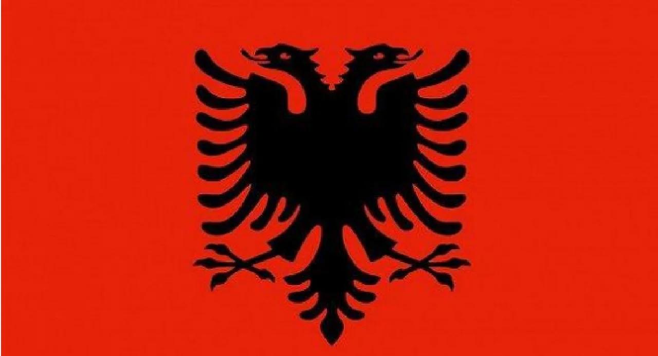 阿尔巴尼亚力克斯洛文尼亚，晋级前景大好的简单介绍