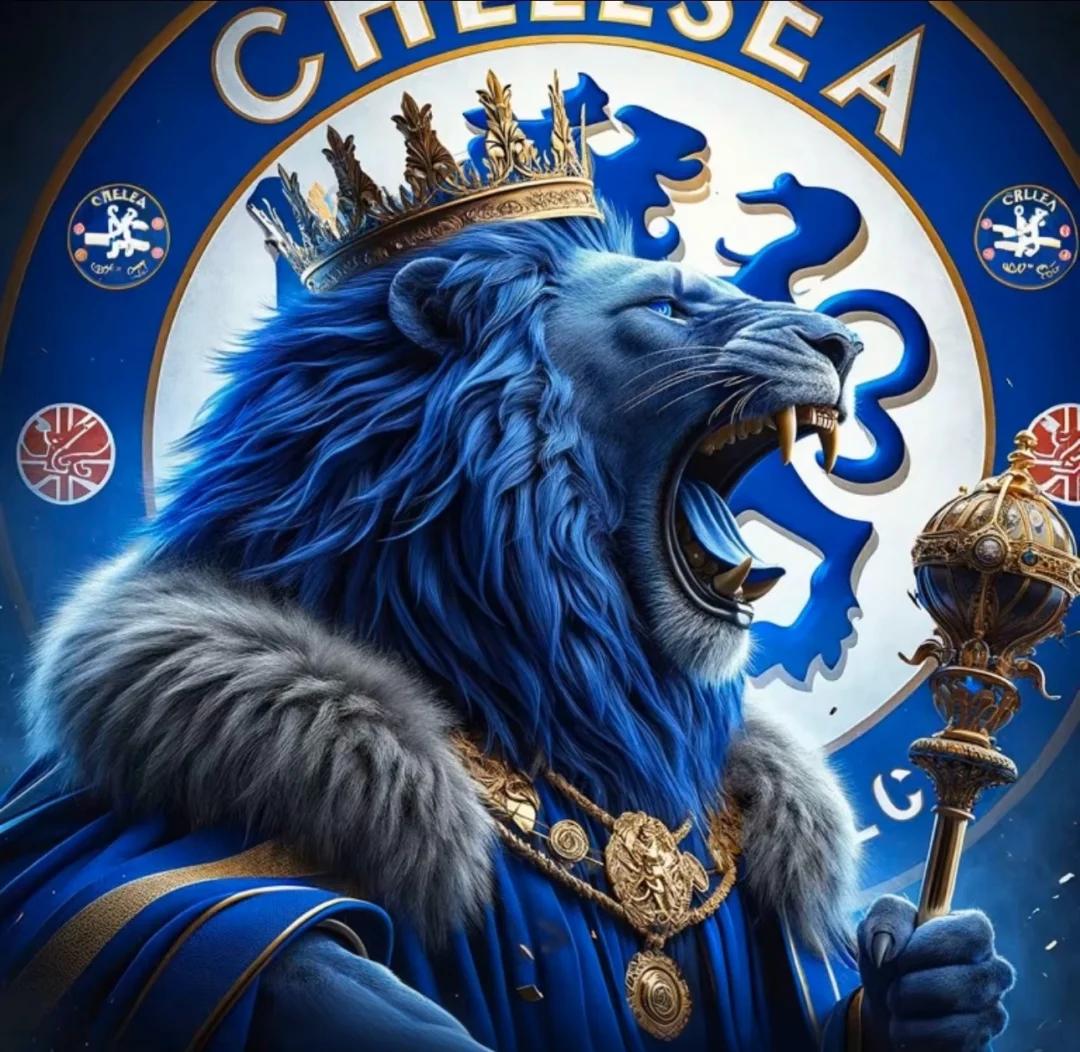 开云体育官方网站-切尔西主场大胜富勒姆，-取得胜利的简单介绍