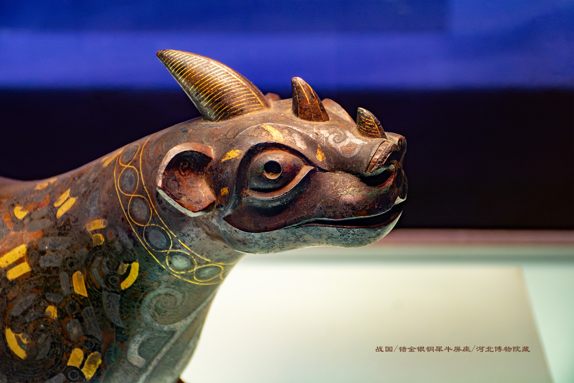 开云体育中国-金银铜光辉夺目，灿烂巅峰呈现！的简单介绍