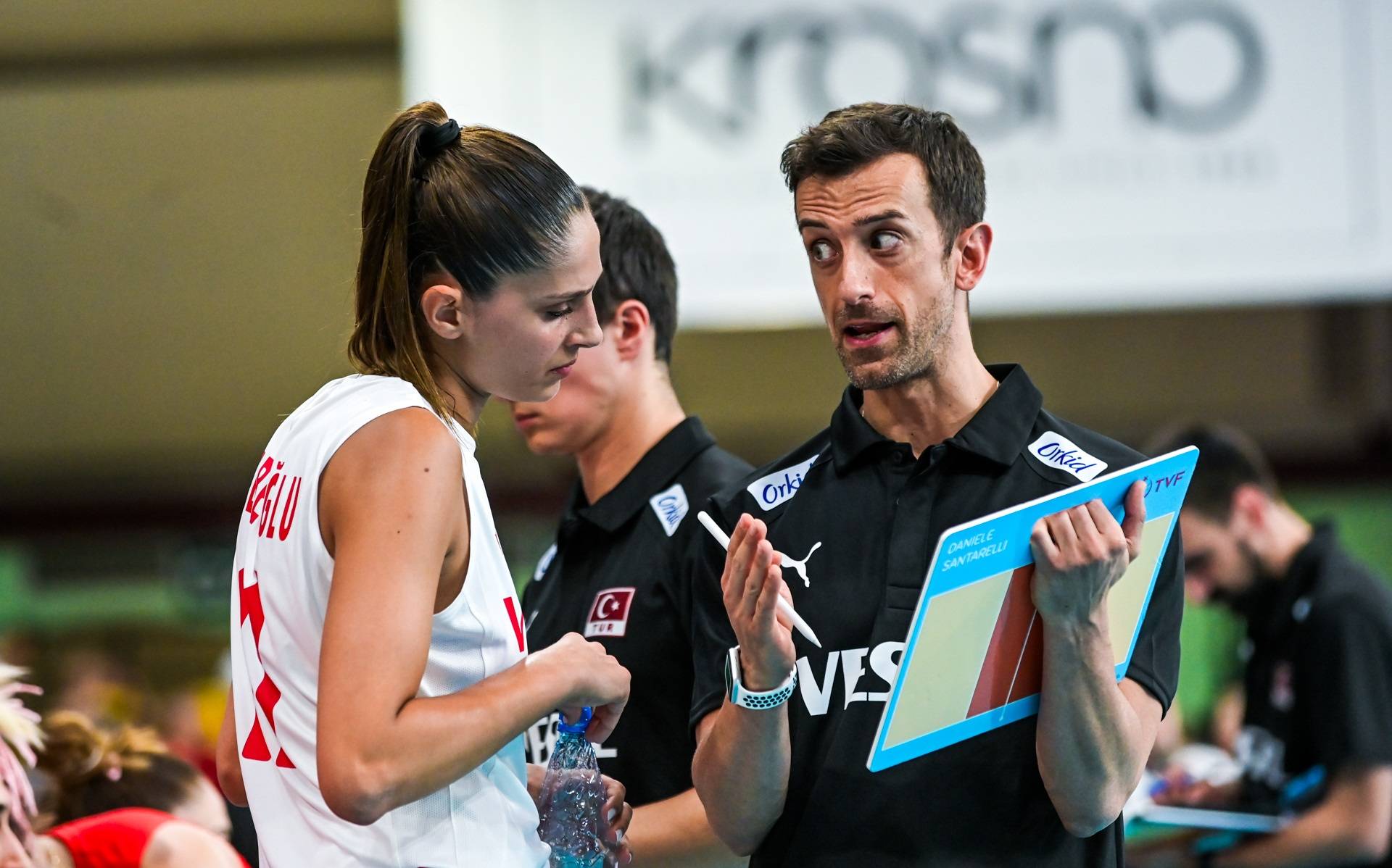 包含波兰队再夺一城，欧预赛进程一帆风顺的词条