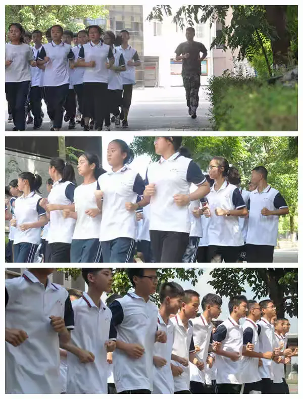 真情篮球赛事渐入佳境，粉丝热情高涨的简单介绍